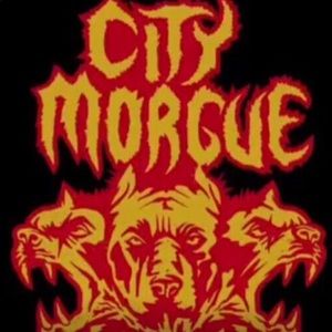 Meet your Posher, Jack